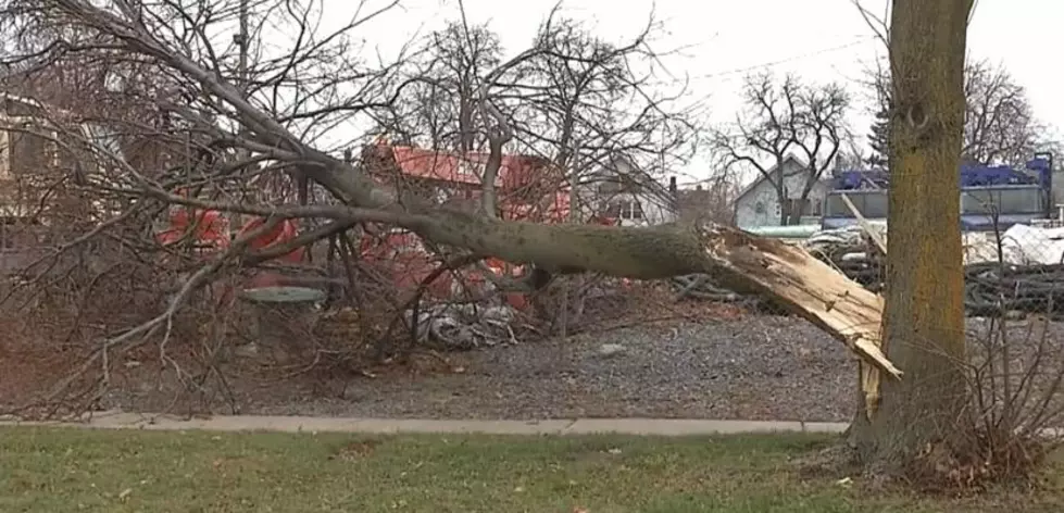 The Storm Is Over But Clean-up Continues Across WNY