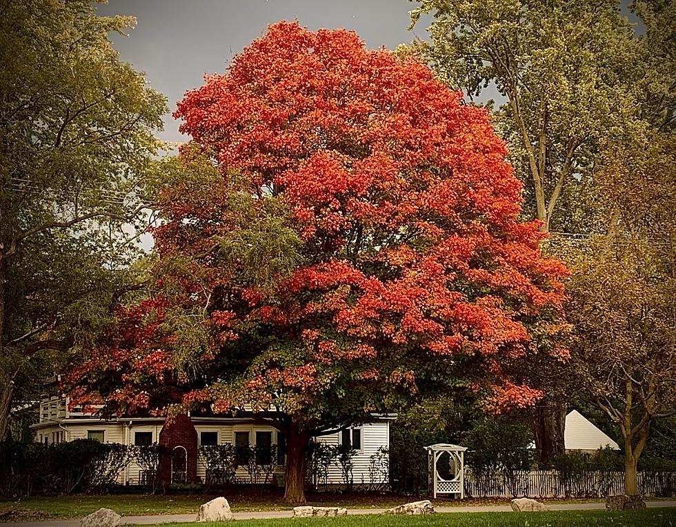 13 Fall Things To Enjoy in Western New York