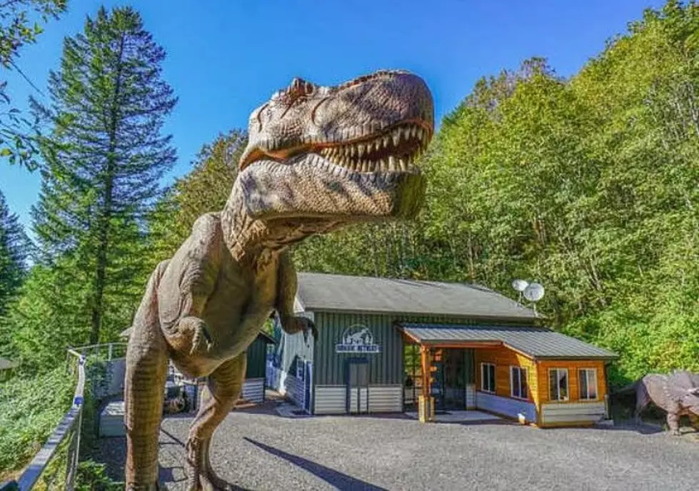 $1.3 Million Dollar Jurassic Park Home For Sale [PHOTOS]