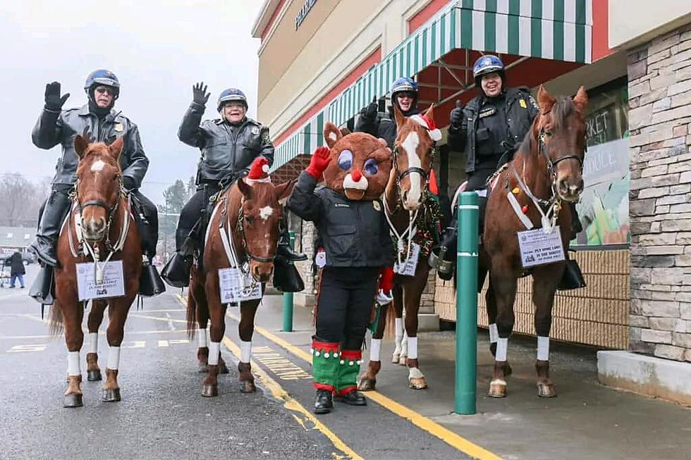 Erie County Sheriff’s Mounted Police Holding Food Drive