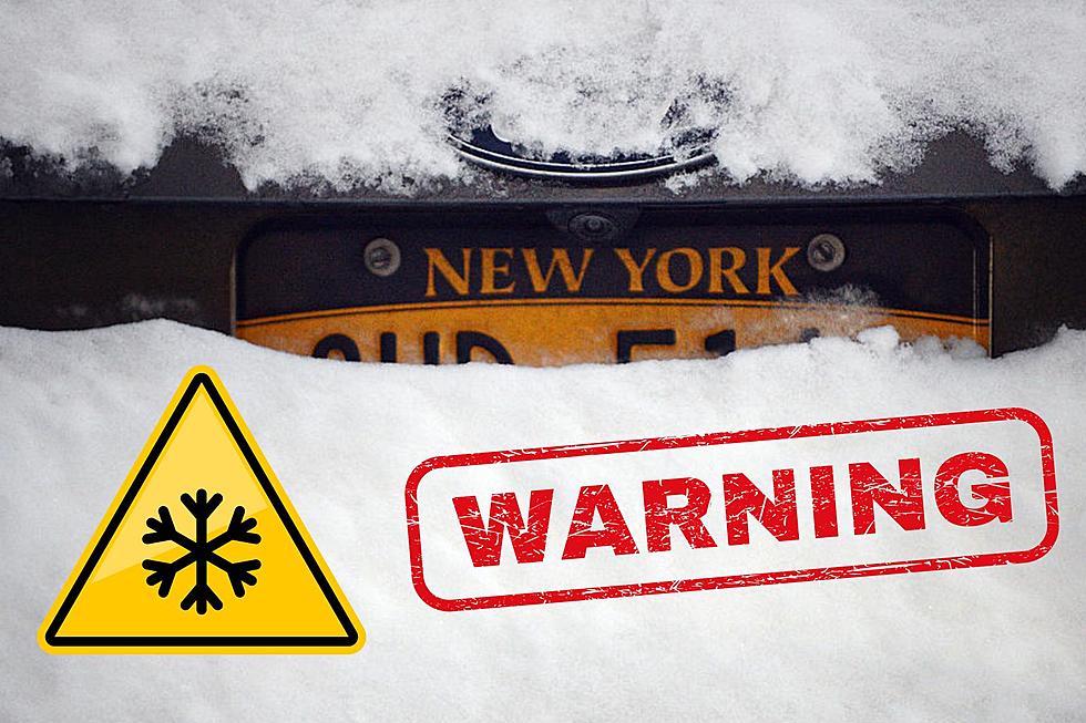 Winter Storm Warning Issued For Parts Of New York
