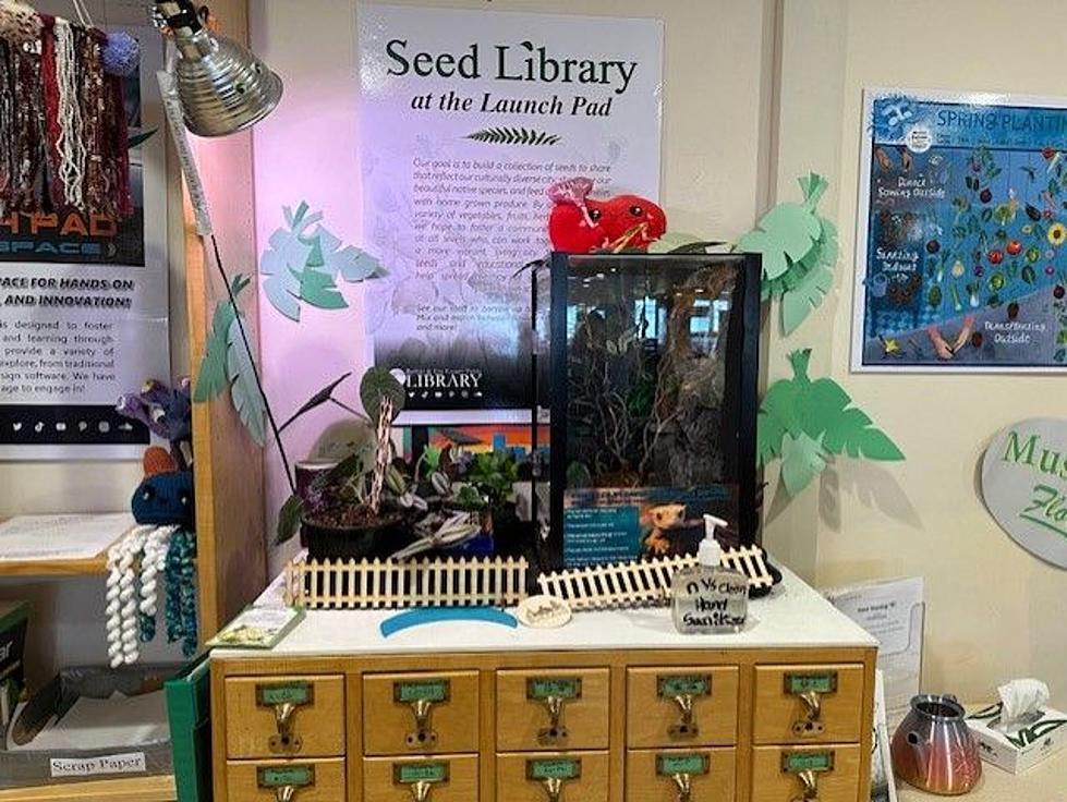 Gardeners Will Love This At The Buffalo And Erie County Libraries