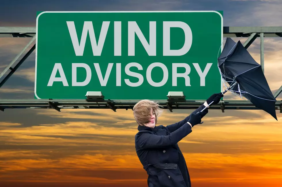 Wind Advisory Issued For Parts Of Western New York