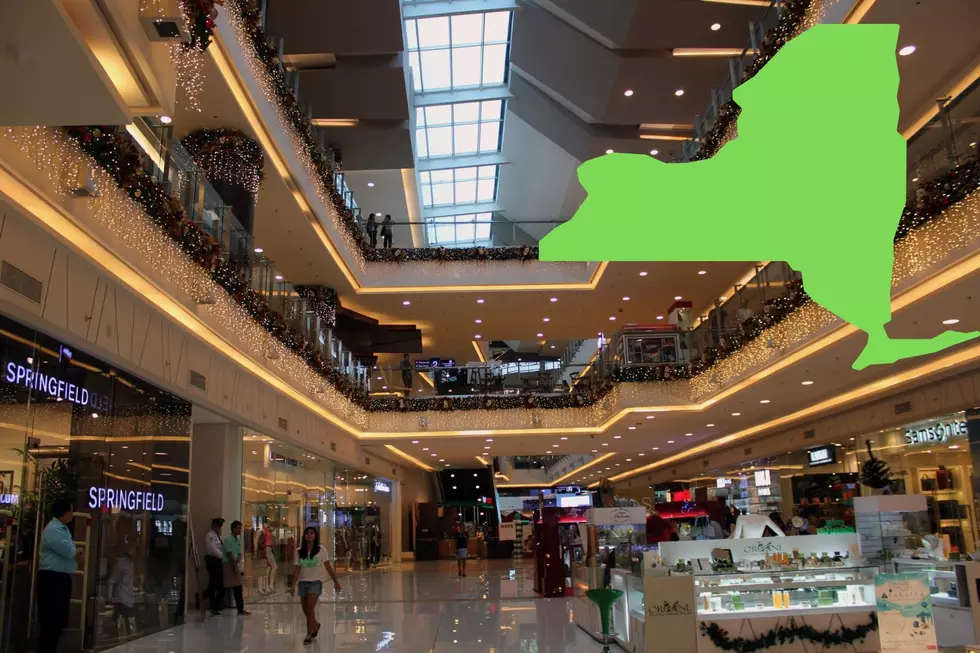 The 10 Biggest Malls In New York State