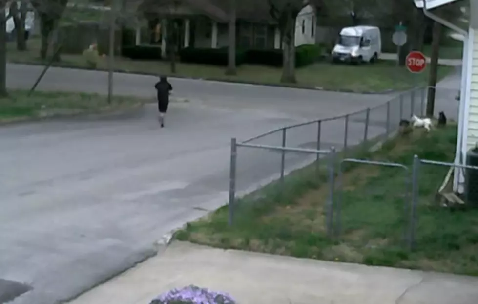 FedEx Driver Chases Runaway Delivery Truck [VIDEO]