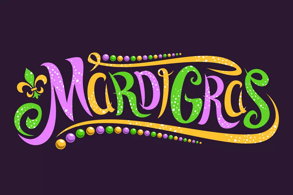 Changes to the 2019 Mardi Gras Parade Route & Activities