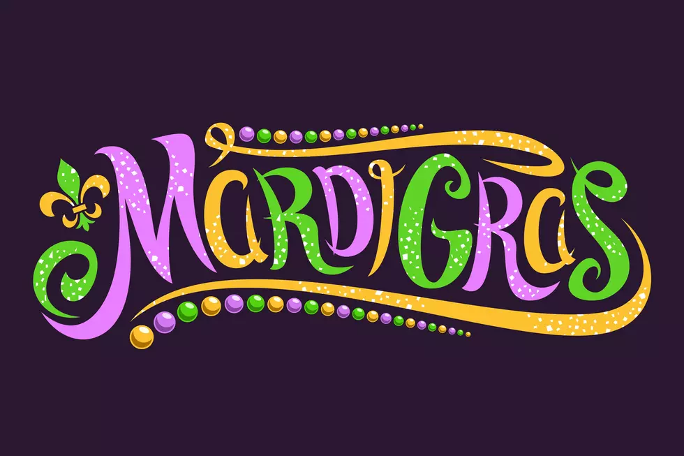 Changes to the 2019 Mardi Gras Parade Route &#038; Activities