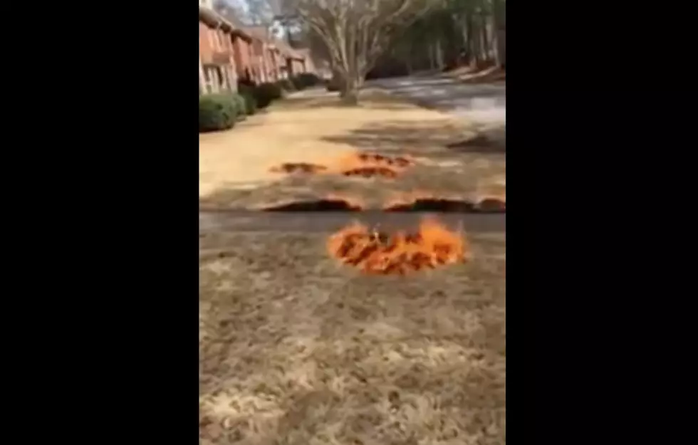 Rappers Set Grass Fire in Mom’s Front Yard and It’s Hilarious