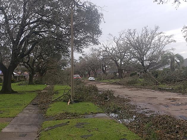 My Neighborhood After Hurricane Laura
