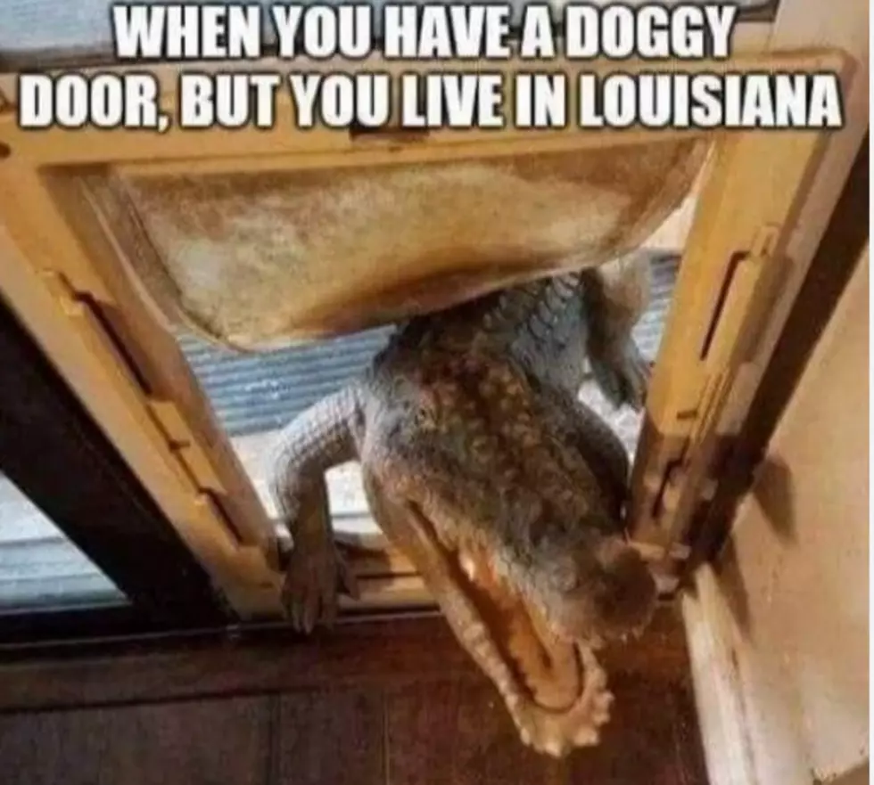 10 Crazy Things You Will Only See In Louisiana [PHOTOS]