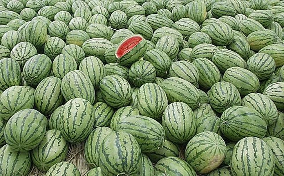 When You Eat Watermelon, This Is What Happens To Your Body