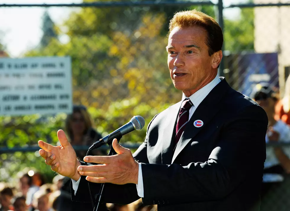 Schwarzenegger Has Gone From the Terminator To The Baby-Maker
