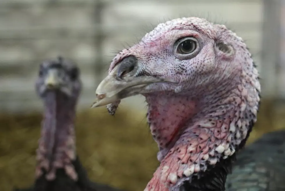 How Do I Know When My Turkey Is Done?  Two Ways To Know When Your Turkey Has Finished Cooking