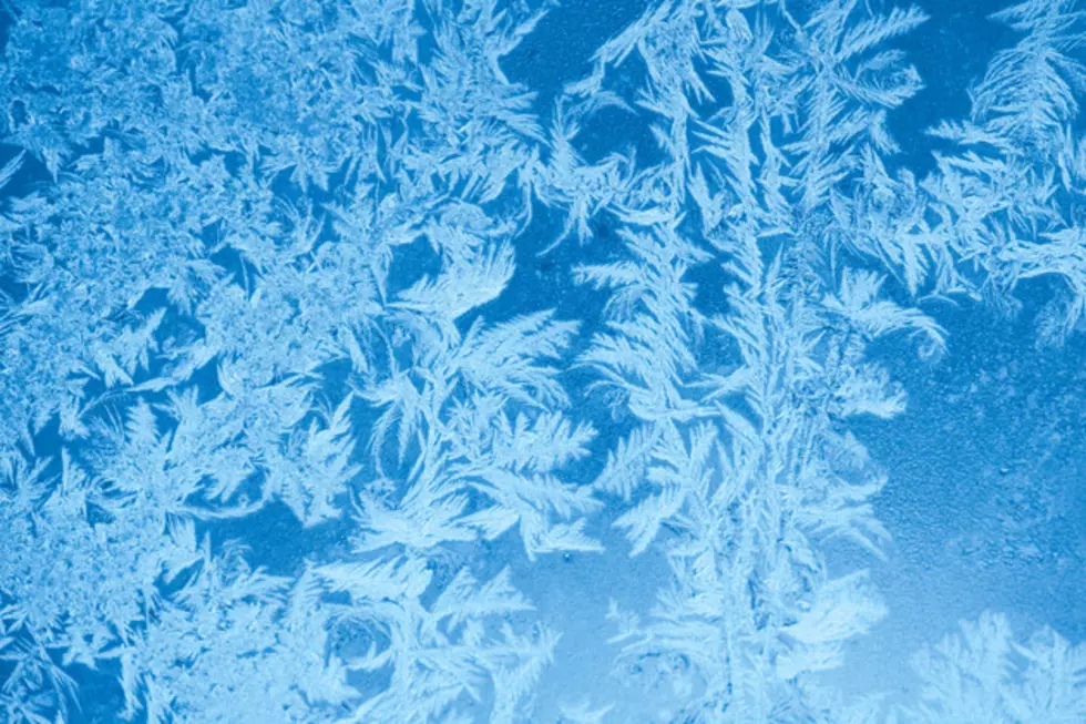 What Is Hoarfrost?  Learn About Mother Nature’s Flocking Method