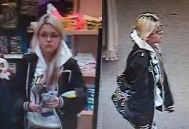 Duluth Police Search For Shoplifting Suspect