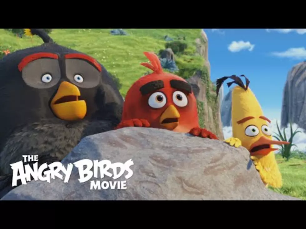 The Angry Birds Movie Review Is It For The Birds? 