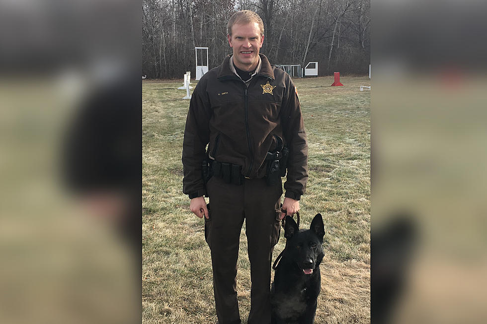 St. Louis County Welcomes New K-9 Patrol Dog