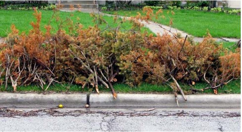 City Of Superior Schedules Brush Cleanup – April 27 – June 1