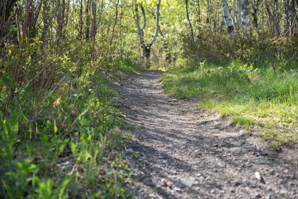 City Of Duluth Looks For Help Curbing Illegal Trail Use + Creation
