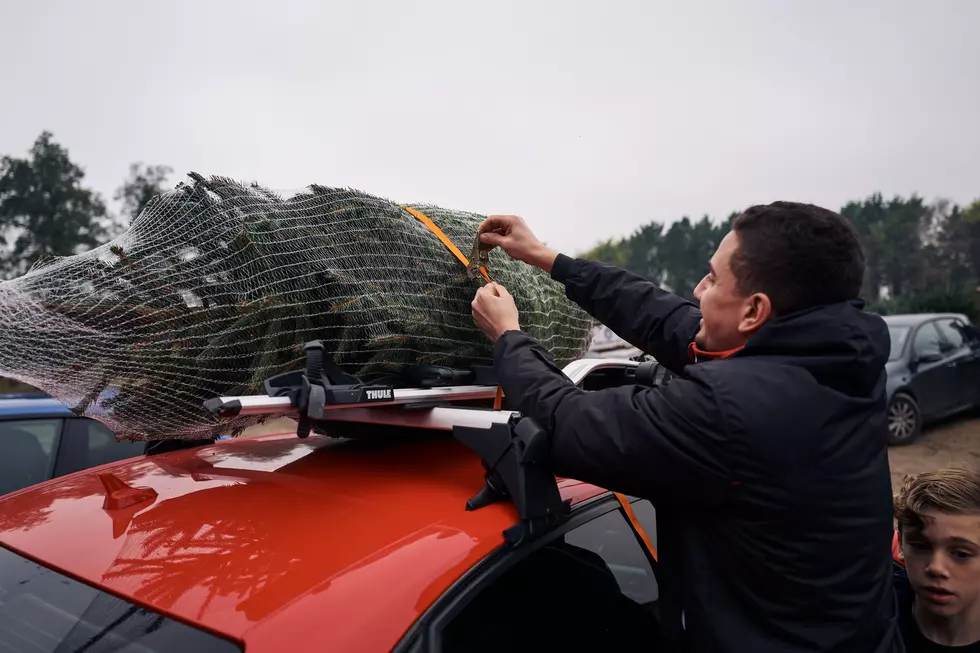 The Best Way To Prepare And Execute A Christmas Tree Purchase