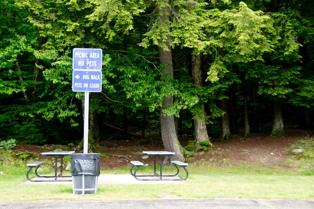 MNDOT&#8217;s Floodwood Rest Area To Close Permanently April 5