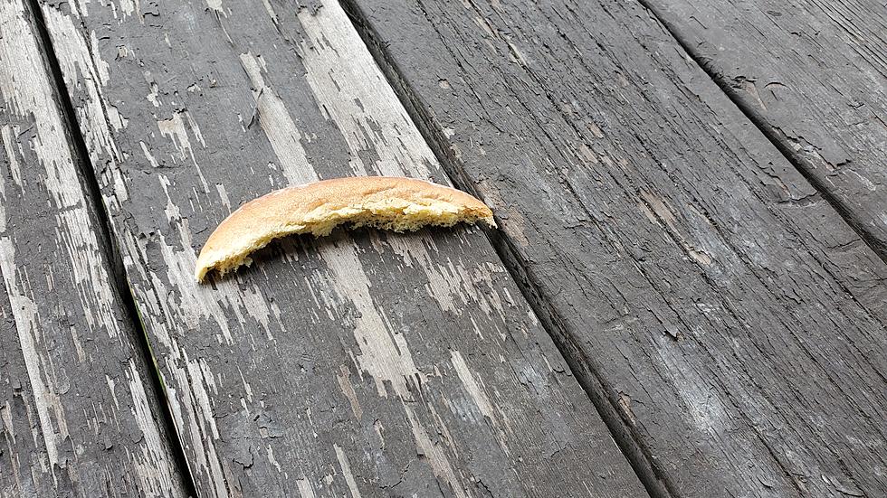 Who Is Leaving Bread Crusts On Duluth-Superior Porches?
