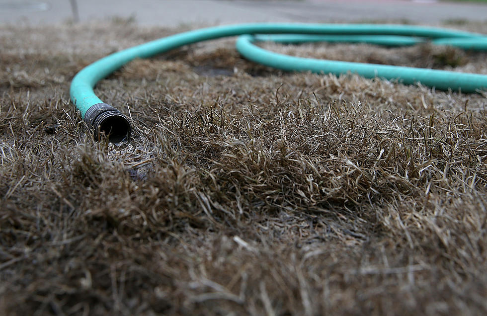 Things To Do To Your Drought-Damaged Lawn This Fall