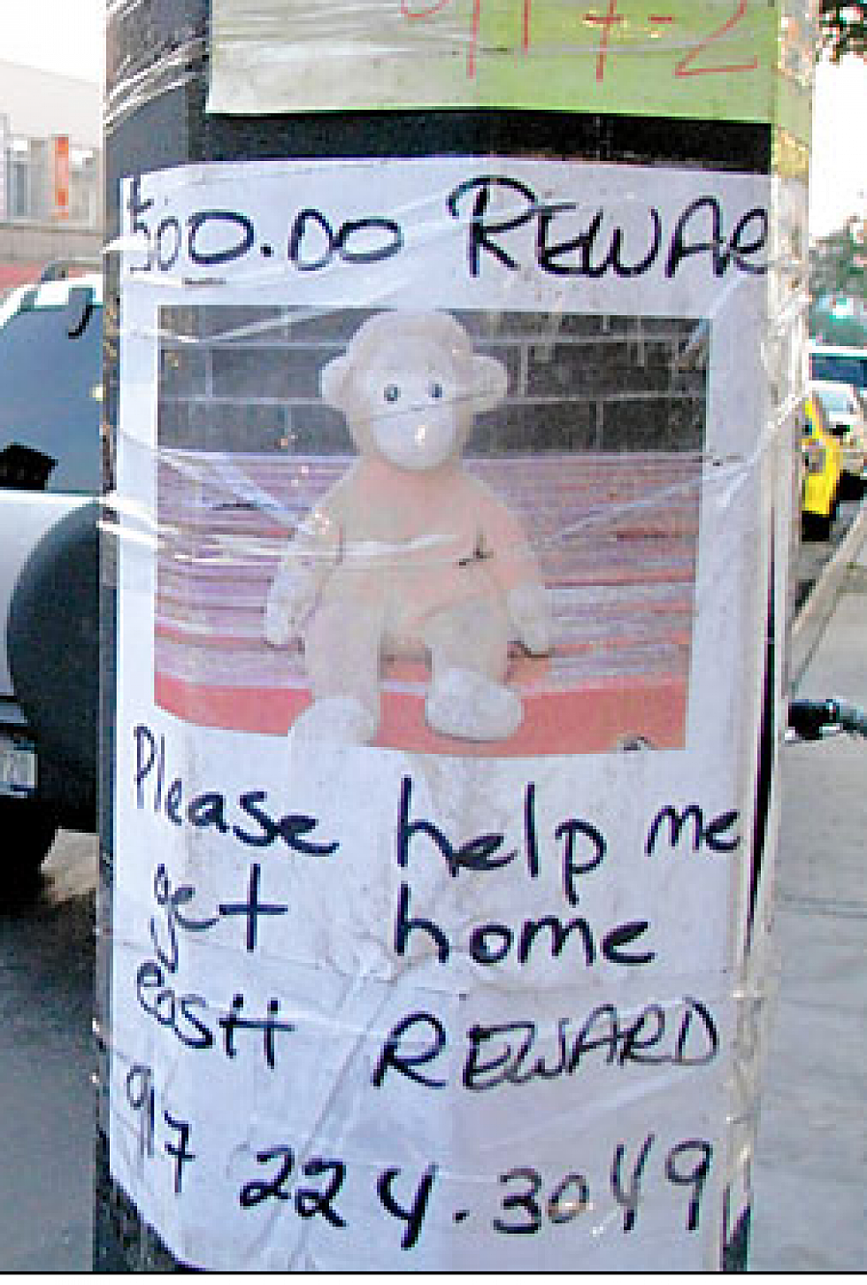 $500 Reward Offered For Missing Beanie Baby