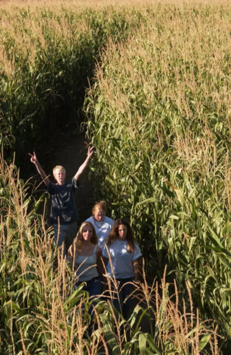 Family Gets Lost In Corn Maze