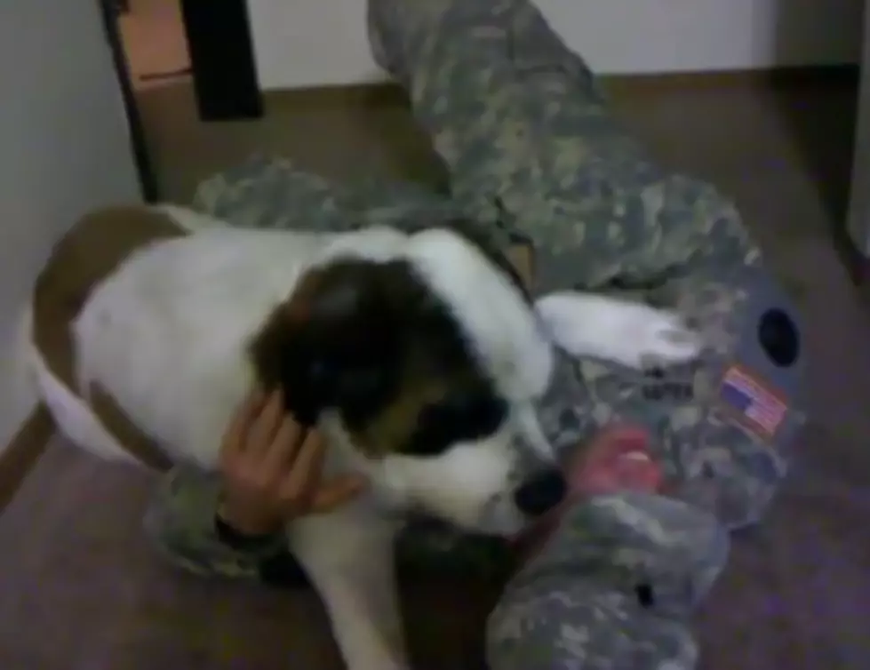 Soldier Reunites with his Dog After Deployment [VIDEO]