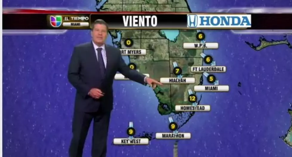 Stray Cat Struts on Univision Television Set During Broadcast [VIDEO]