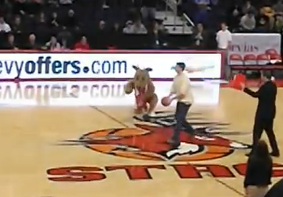 Half Court Shot to Win A Car–Did He Cross the Line? [VIDEO]