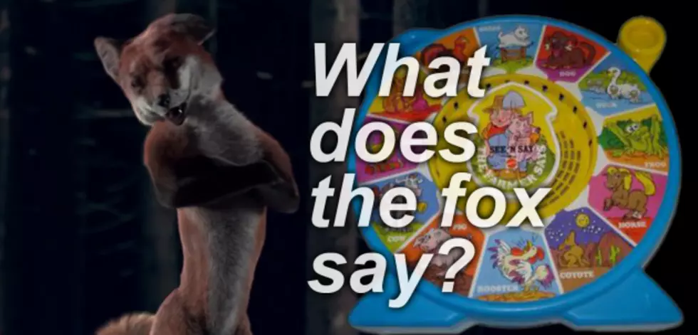 New Song and Music Video Asks the Classic See &#8216;N Say Question &#8220;What Does a Fox Say?&#8221; [VIDEO]