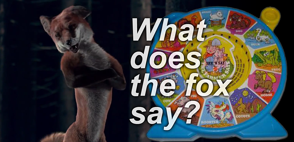 What Does a Fox Say?