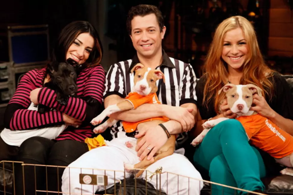 Puppy Bowl Lineup is Set, and Ready to Go This Sunday [VIDEO]