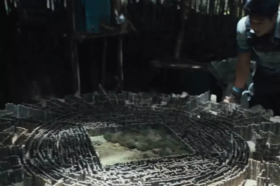 Another Book Being Adapted To Movie, &#8216;The Maze Runner&#8217; Released Trailer [VIDEO]