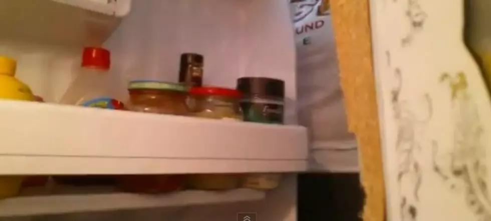 Does the Light in Your Fridge Really Turn Off When You Close the Door? [VIDEO]