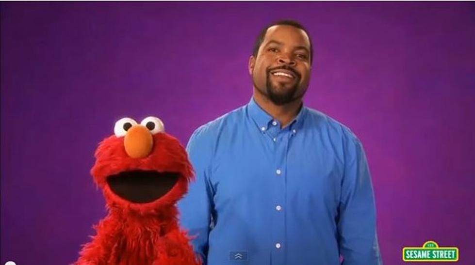 Just When You Thought You Had Seen it All, Ice Cube Appears on Sesame Street [VIDEO]
