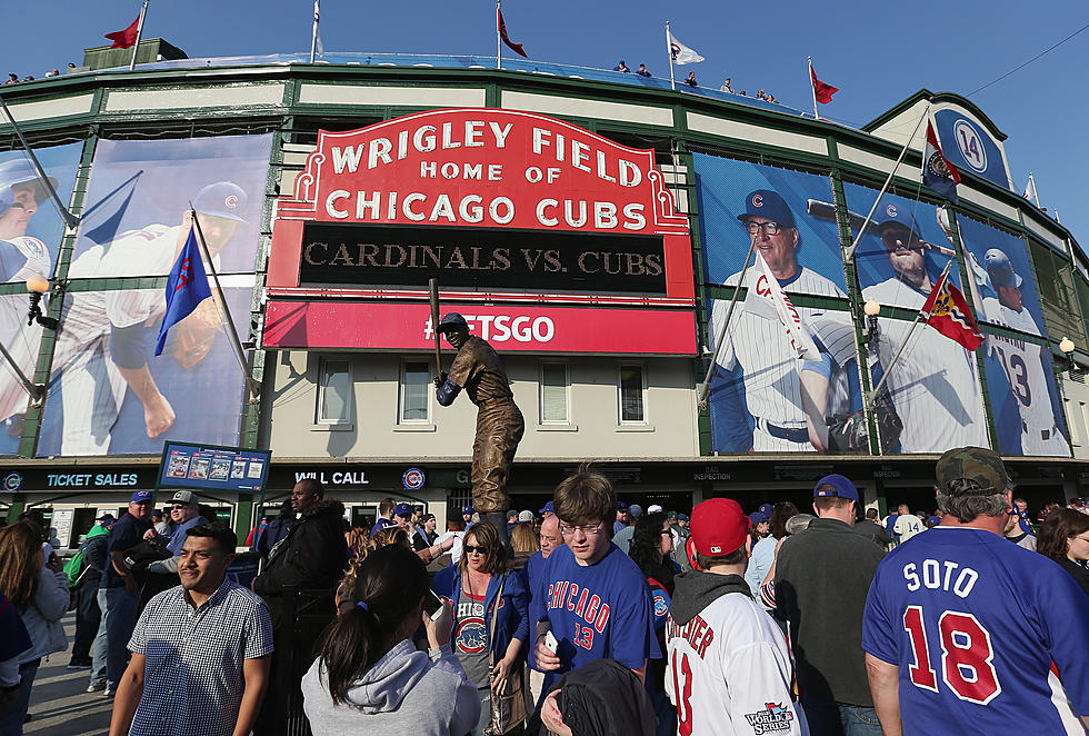 Lucky Cubs Fan Catches Fly Ball, in Her Beer Cup [VIDEO]