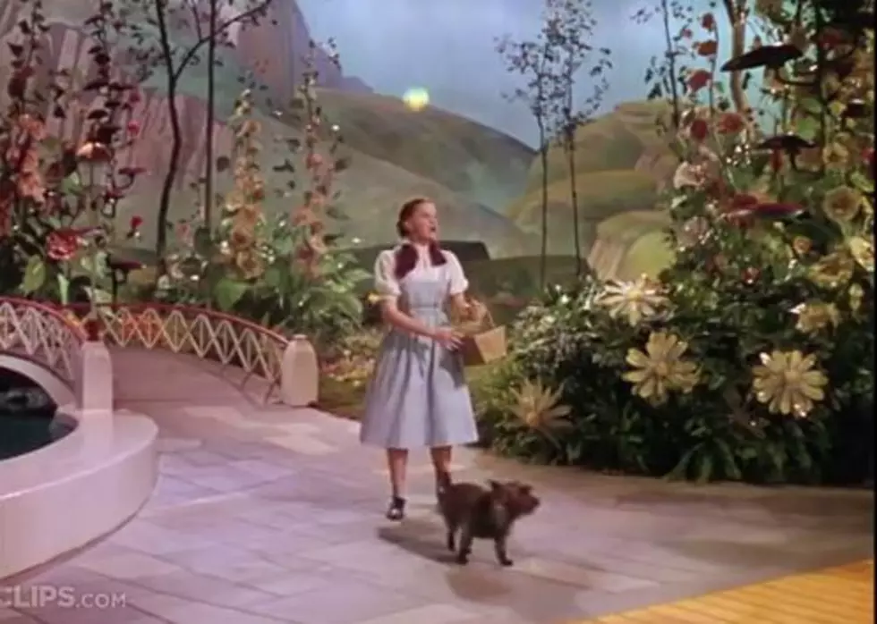 Judy Garlands Dress From The Wizard of Oz is Sold at Auction for  $1.5 Million