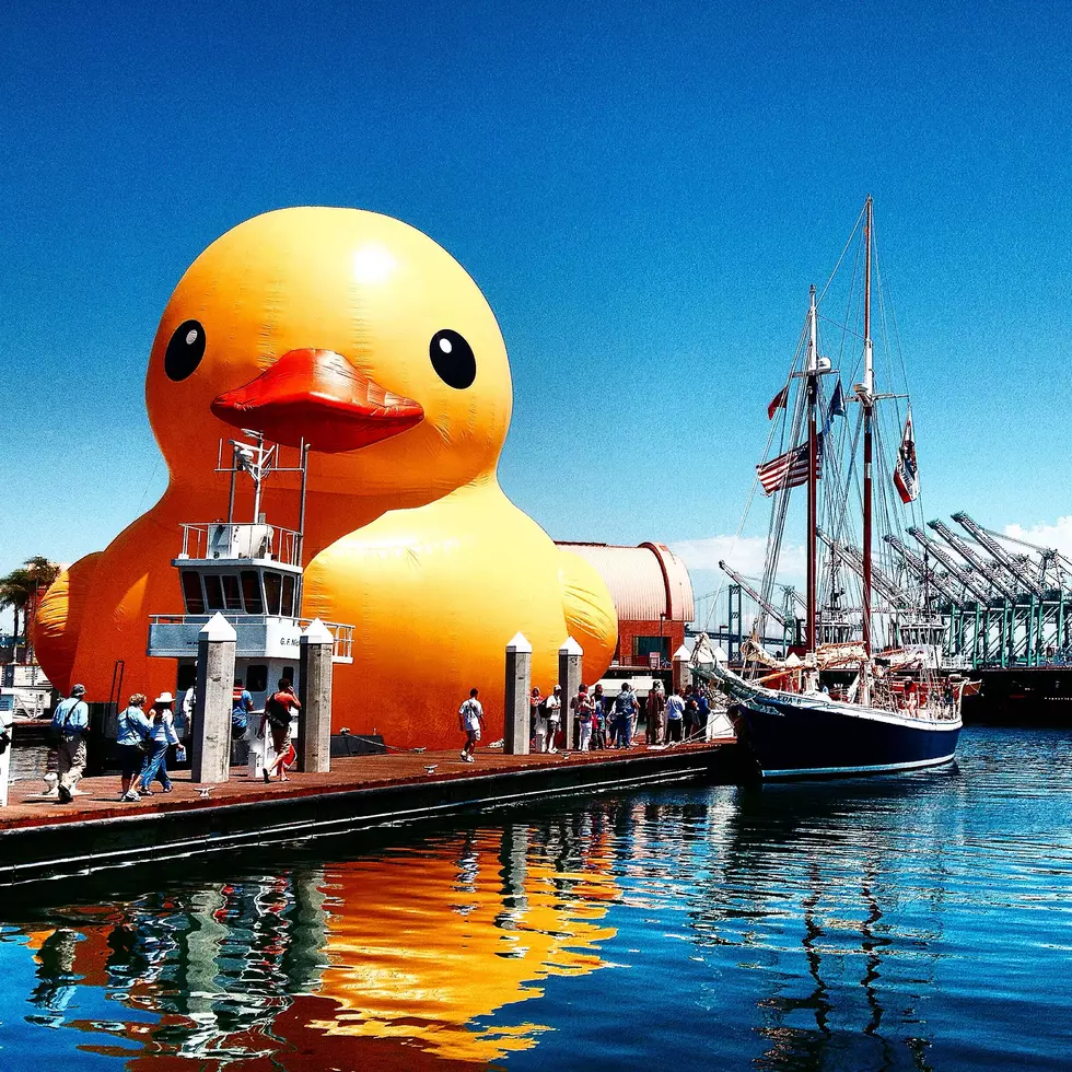 Learn All About The World&#8217;s Largest Rubber Duck That Will Visit Duluth This Summer