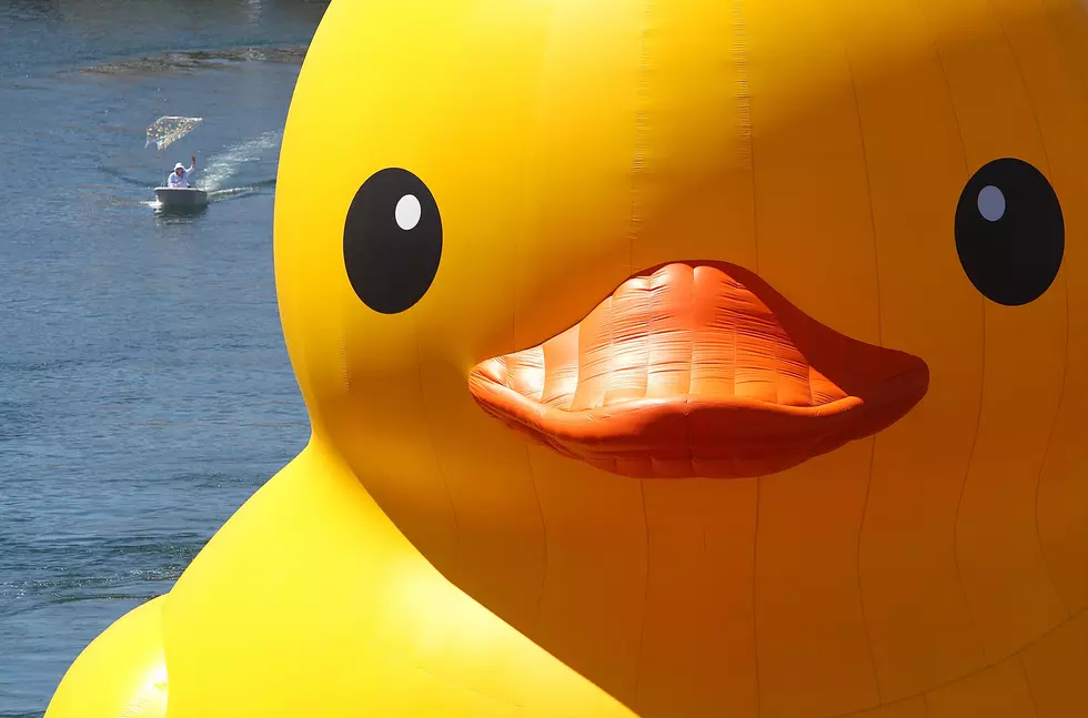 The World’s Largest Rubber Duck is Coming to the 2016 Tall Ships Festival in Duluth