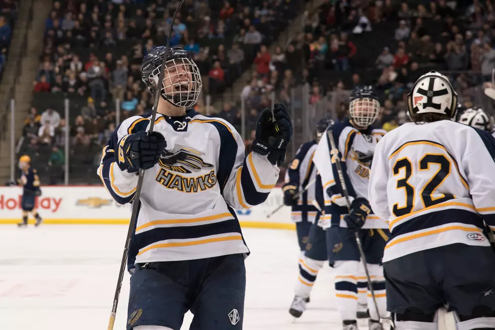 Hermantown Wins 5-0 Over Breck to Claim Class A Championship [PHOTOS]