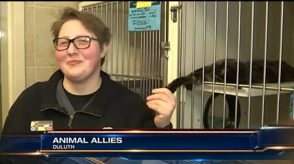Two Staff From Animal Allies Helped in a Massive Animal Rescue Effort [VIDEO]