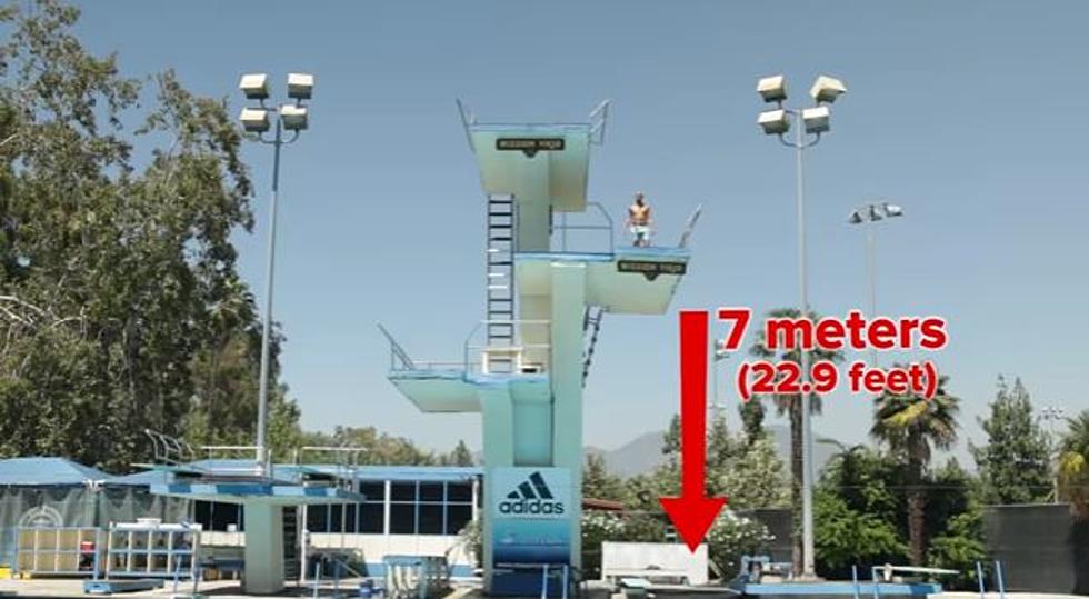 Ordinary People Get Tricked into Jumping Off Olympic High Dive Platform [VIDEO]