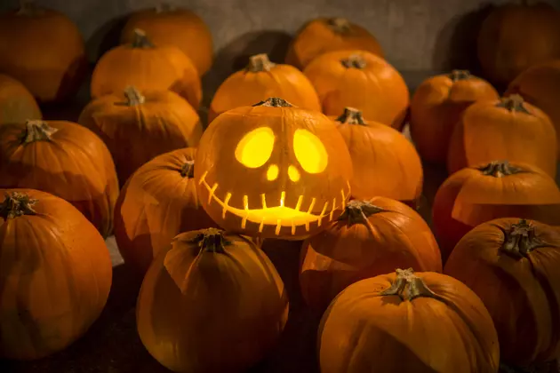 Four Tips on How to Pick Out the Best Pumpkin, Depending on What You are Using it For