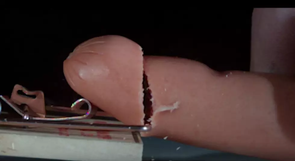 Watch a Hot Dog Get Sliced by a Mouse Trap in Ultra Slow Motion