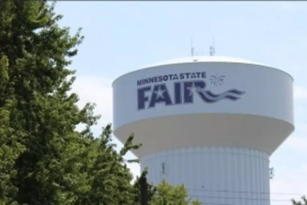 New Attractions Coming to the Minnesota State Fair This Year