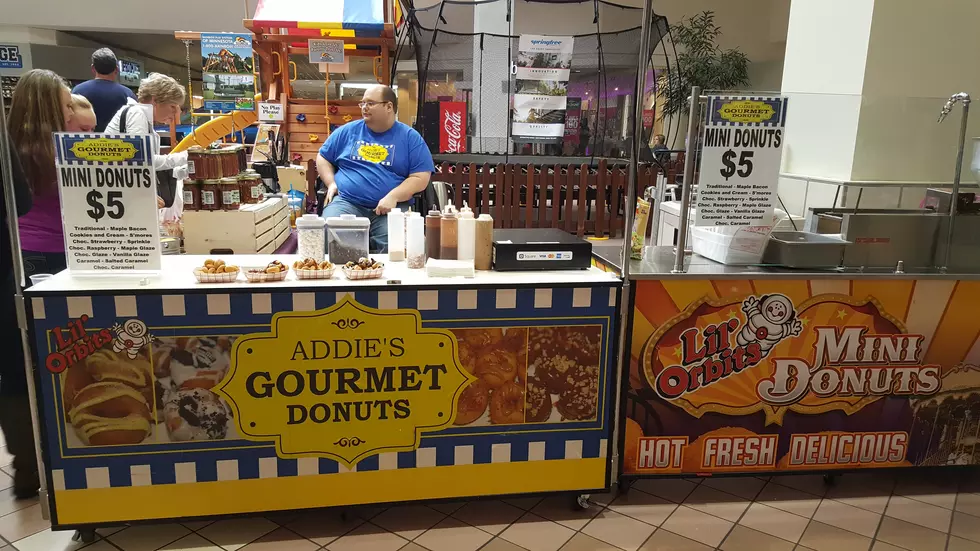 Addie’s Gourmet Mini Donuts Review