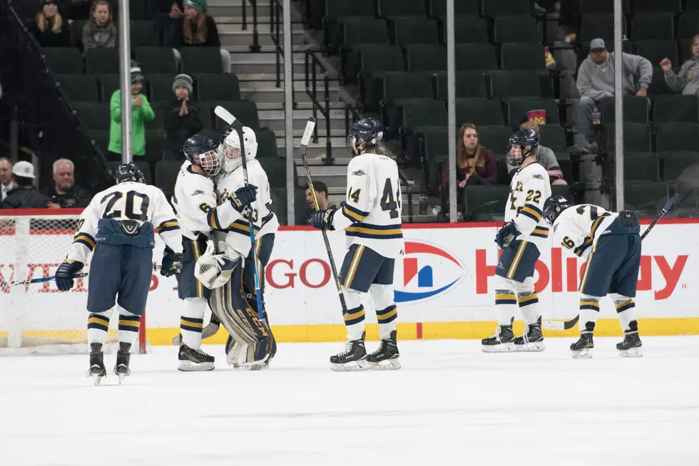 Hermantown Upset By Alexandria 6-1 in Class A Hockey Semifinals